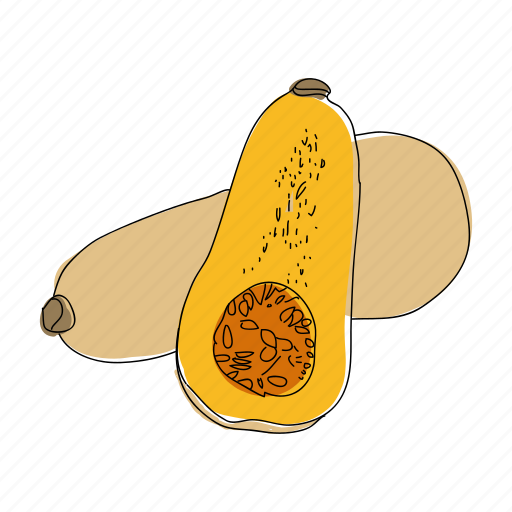 Butternut squash, color, food, recipe, squash, vegetable icon - Download on Iconfinder