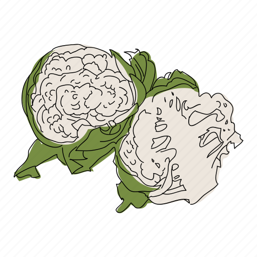 Cauliflower, color, food, healthy, vegetable, veggie icon - Download on Iconfinder