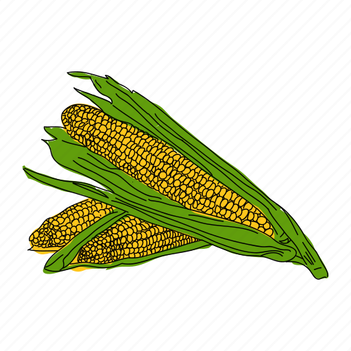 Color, corn, food, harvest, vegetable, yellow icon - Download on Iconfinder