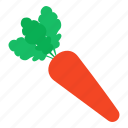 carrot, vegetable, spice, daucus carota, food ingredient 