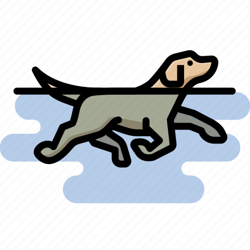 Dog, labrador retriever, pet, swimming icon - Download on Iconfinder