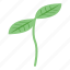 fertilizer, green, plant, isometric 