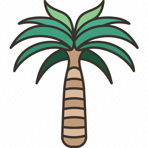 Palm, tree, plant, tropical, garden icon - Download on Iconfinder