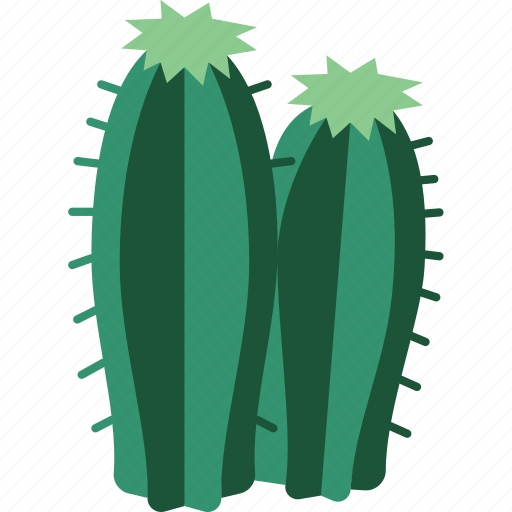Cactus, desert, succulent, plant, nature icon - Download on Iconfinder