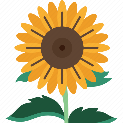 Sunflower, flora, plant, garden, nature icon - Download on Iconfinder