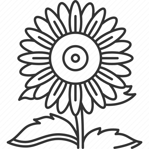 Sunflower, flora, plant, garden, nature icon - Download on Iconfinder