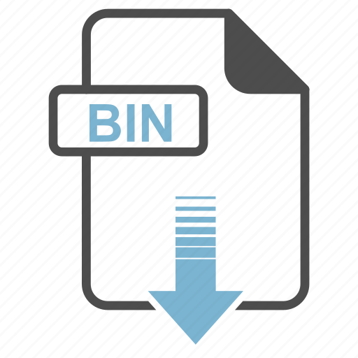 Format, extension, download, bin icon - Download on Iconfinder