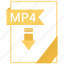document, extension, file, mp4 