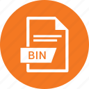 bin, document, extension, file