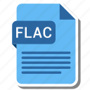 document, extension, flac, format