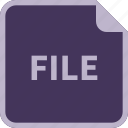 file, name, format