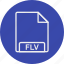 file, flv, format 