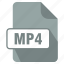 extension, file, filedata, format, mp4 