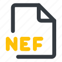 nef, file, format, document, extension