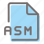 asm, file, format, document, extension 