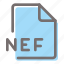nef, file, format, document, extension 