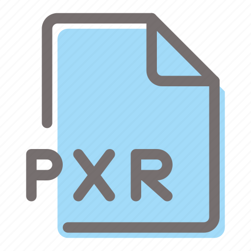 Pxr, file, format, document, extension icon - Download on Iconfinder