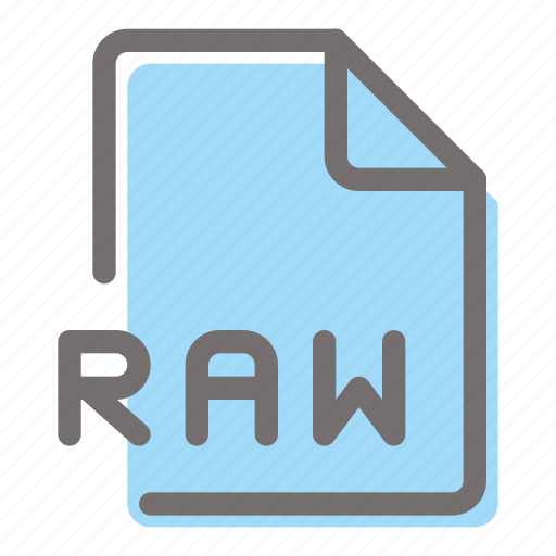 Raw, file, format, document, extension icon - Download on Iconfinder
