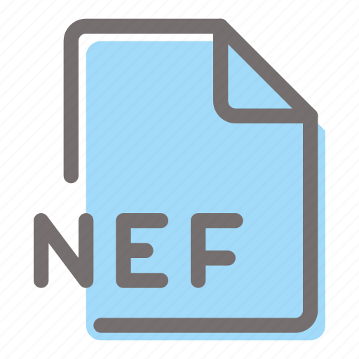 Nef, file, format, document, extension icon - Download on Iconfinder