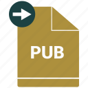 document, file, format, pub