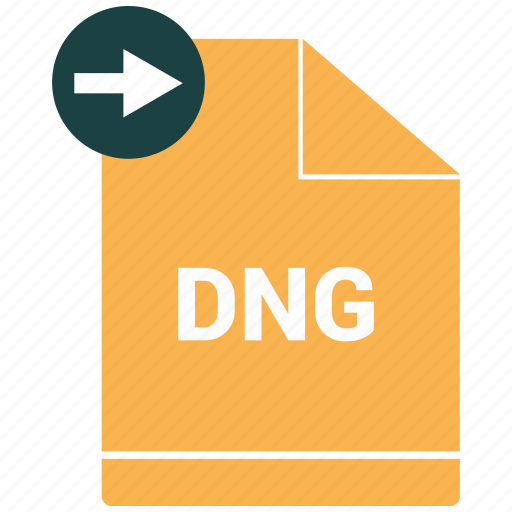 Dng, document, file, format icon - Download on Iconfinder