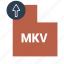 document, file, format, mkv 