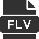 file, format, extension, type, suffix, flv