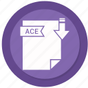 ace, document, extension, folder, paper