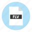 document, extension, file, filetype, flv, format, type 