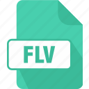 extension, file, flv, type, documents, flash video file