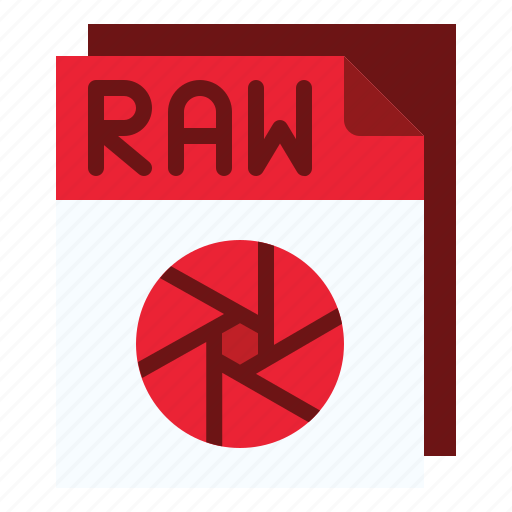 Raw, image, file, format, extension, document, archive icon - Download on Iconfinder