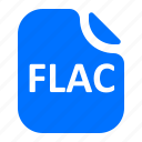 file, flac, format