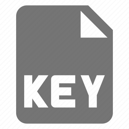 File, key, extension, format icon - Download on Iconfinder