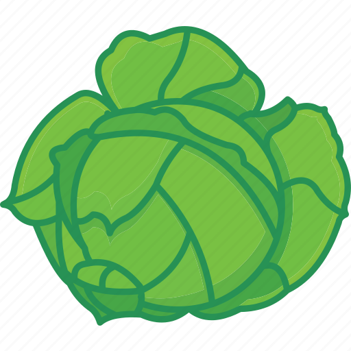 Cabbage, cabbage ball, cabbage leaf, cabbage salad, vegetables icon icon - Download on Iconfinder