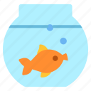 fish, aquarium, fish tank, fish bowl, goldfish, pet, animals, animal