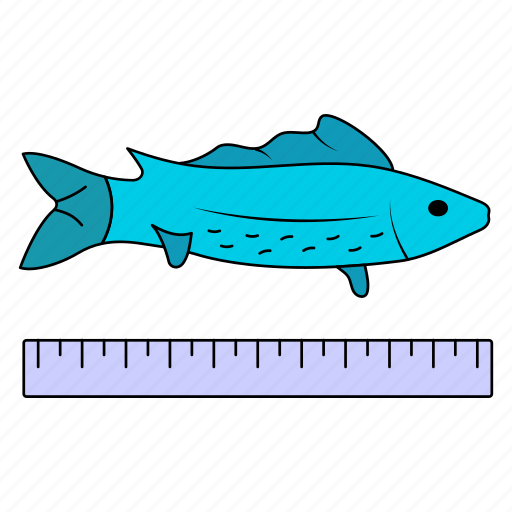 Fish, seafood, sea animal, long fish, scale, measuring icon - Download on Iconfinder