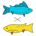 fish, female, male, breeding, reproduce, fertilize