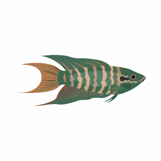 Fish, fish icon, fish vector, koi, koi fish, ocean, sea icon - Download on Iconfinder