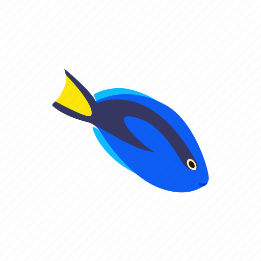 Blog, fish, isometric, ocean, sea, surgeon, tropical icon - Download on Iconfinder