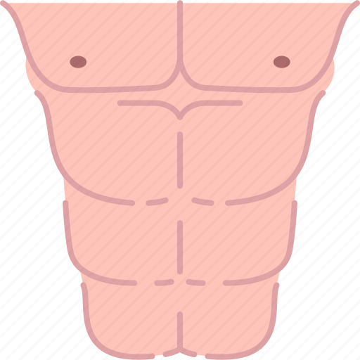 Pack, abdomen, fitness, muscular, bodybuilder icon - Download on Iconfinder