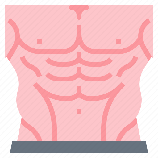 Body, fitness, muscle, pack, six icon - Download on Iconfinder