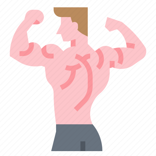 Exercise, fitness, gym, muscle icon - Download on Iconfinder