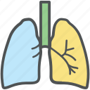 asthma, breathing, human, lungs, lungs symbol, organ, respiratory system