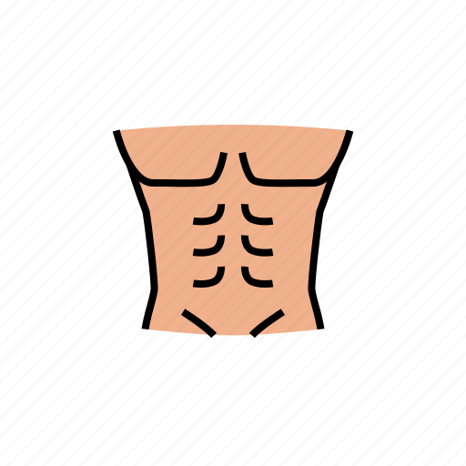 Abdominal, body, building, chest, fitness, gym, muscular icon - Download on Iconfinder