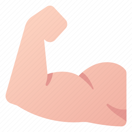 Arm, biceps, exercise, fitness, muscle, power, strong icon - Download on Iconfinder