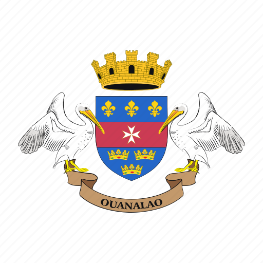 Flag, country, world, national, nation, saint barthelemy icon - Download on Iconfinder