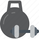 body, building, dumbbell, equipment, fitness, gym, sport, weight, tool