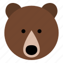 bear, grizzly bear, grizzly, animal, wild, mammal, animals, wild animal, head
