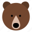 bear, grizzly bear, grizzly, animal, wild, mammal, animals, wild animal, head 
