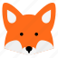 fox, red fox, mammal, animal, animals, wild, wild animal, wild animals, head 